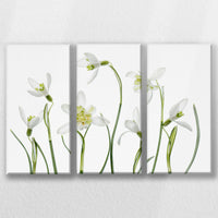LW-060R040