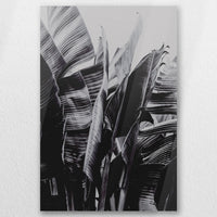 AC-050W075