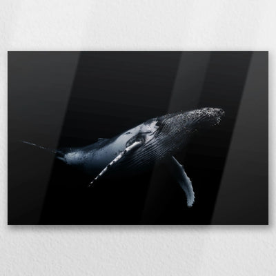 AL-030W020