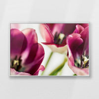 PS-093W062