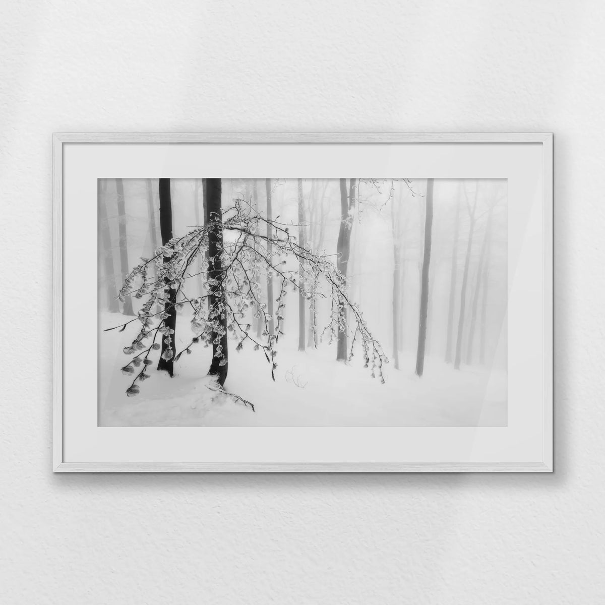 PWP093W062