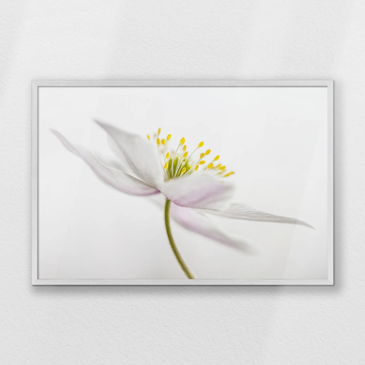 PW-093W062