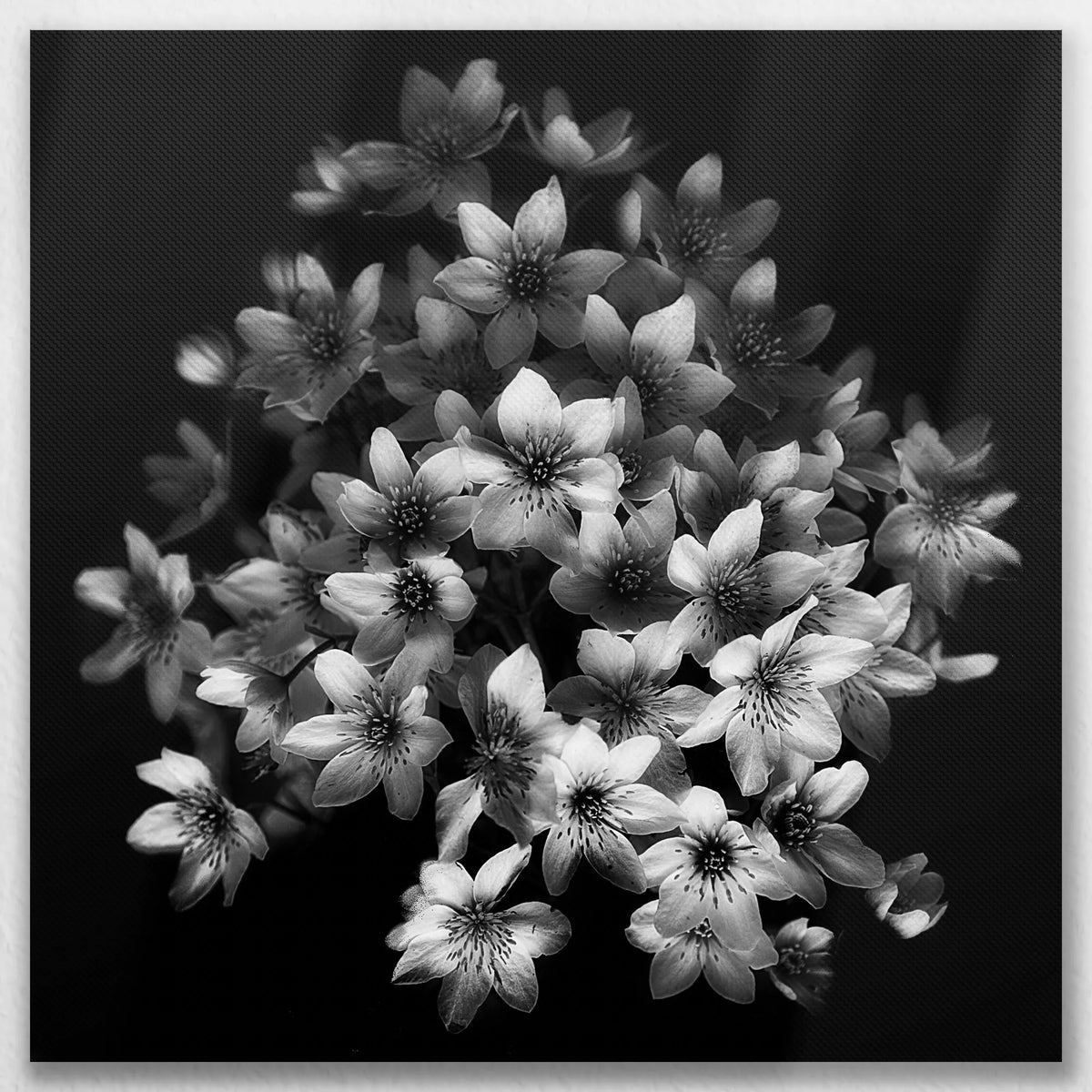 LW-080W080