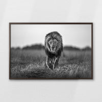 LWN100W070