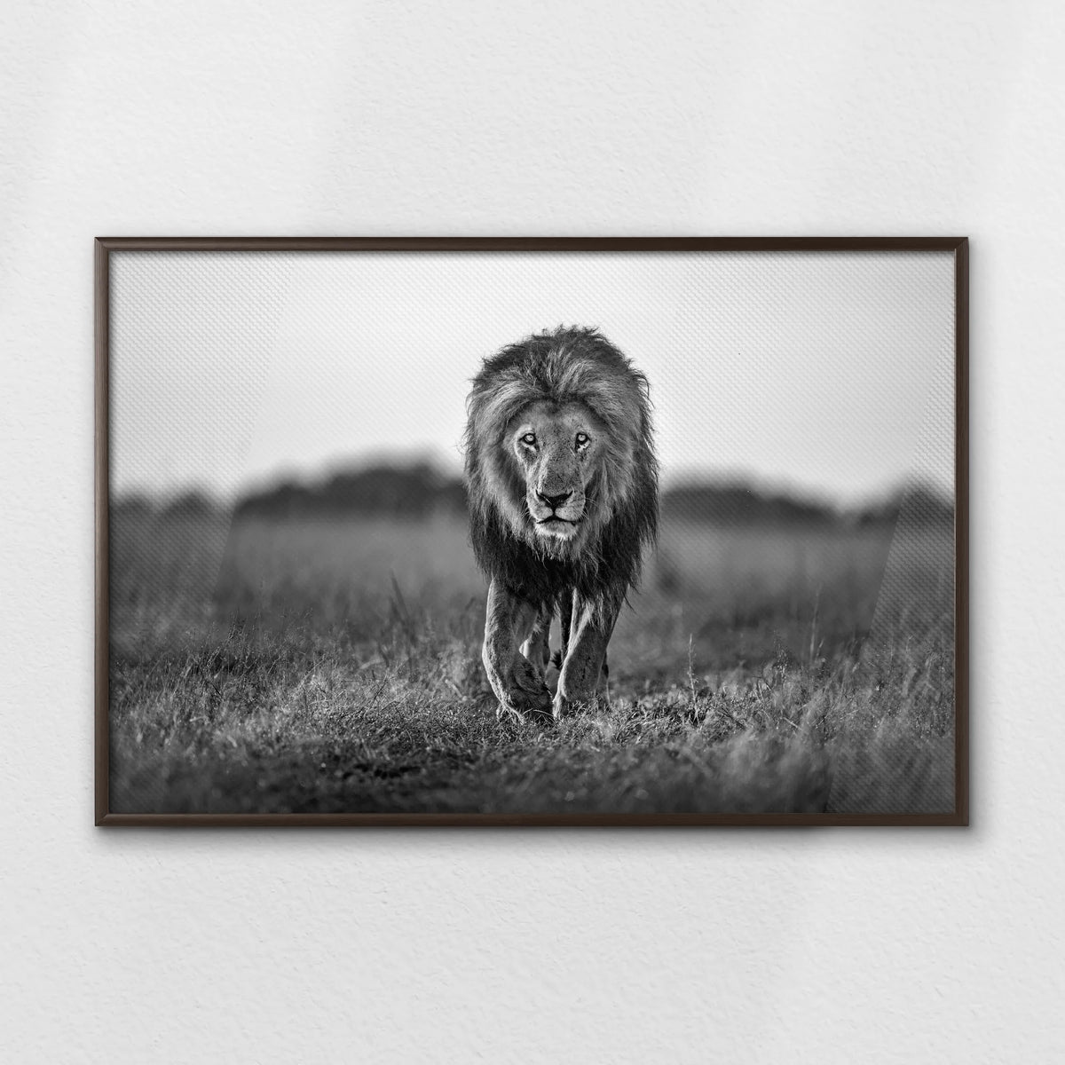 LWN100W070