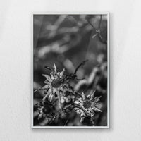 PS-040W060