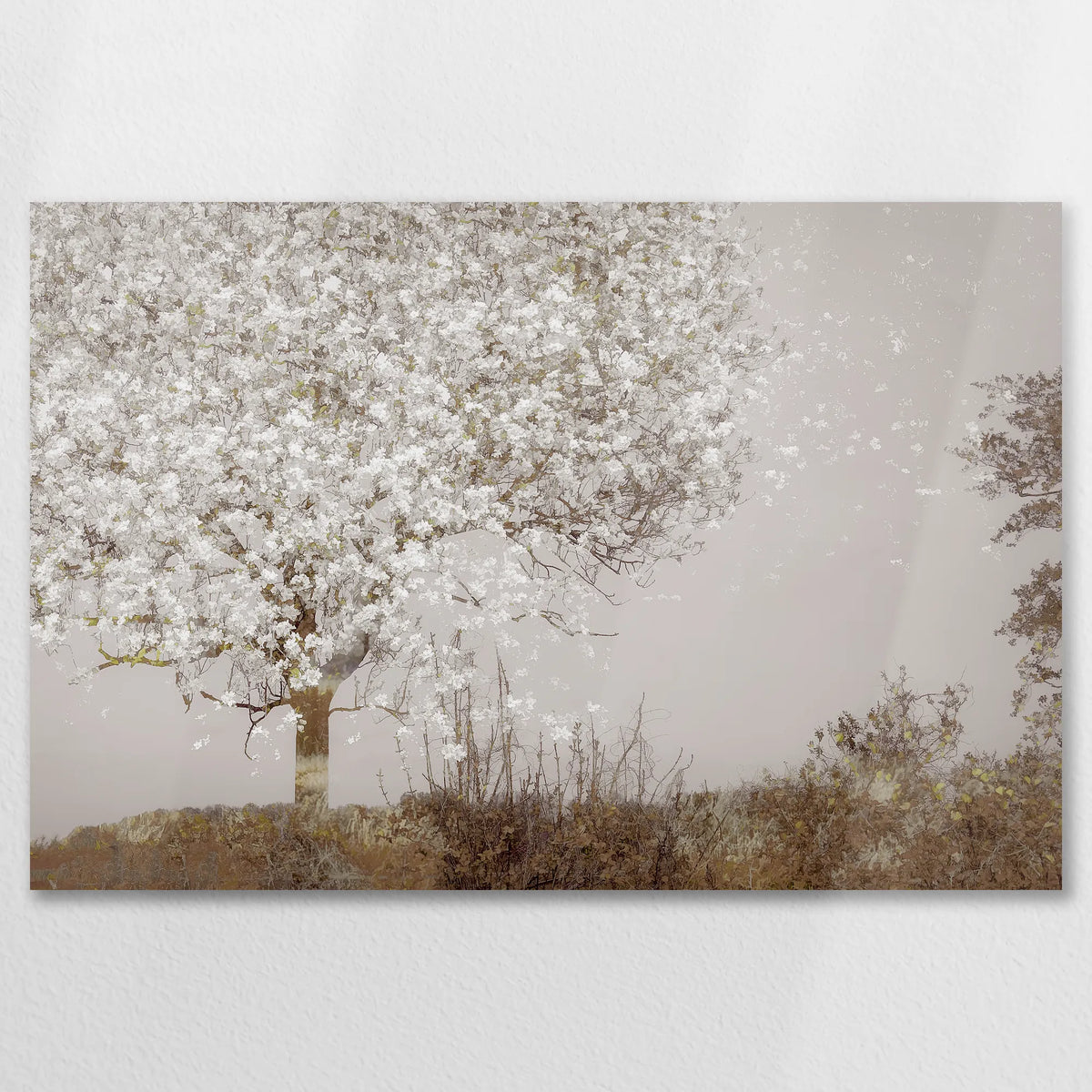 AL-075W050