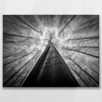 LW-080W060
