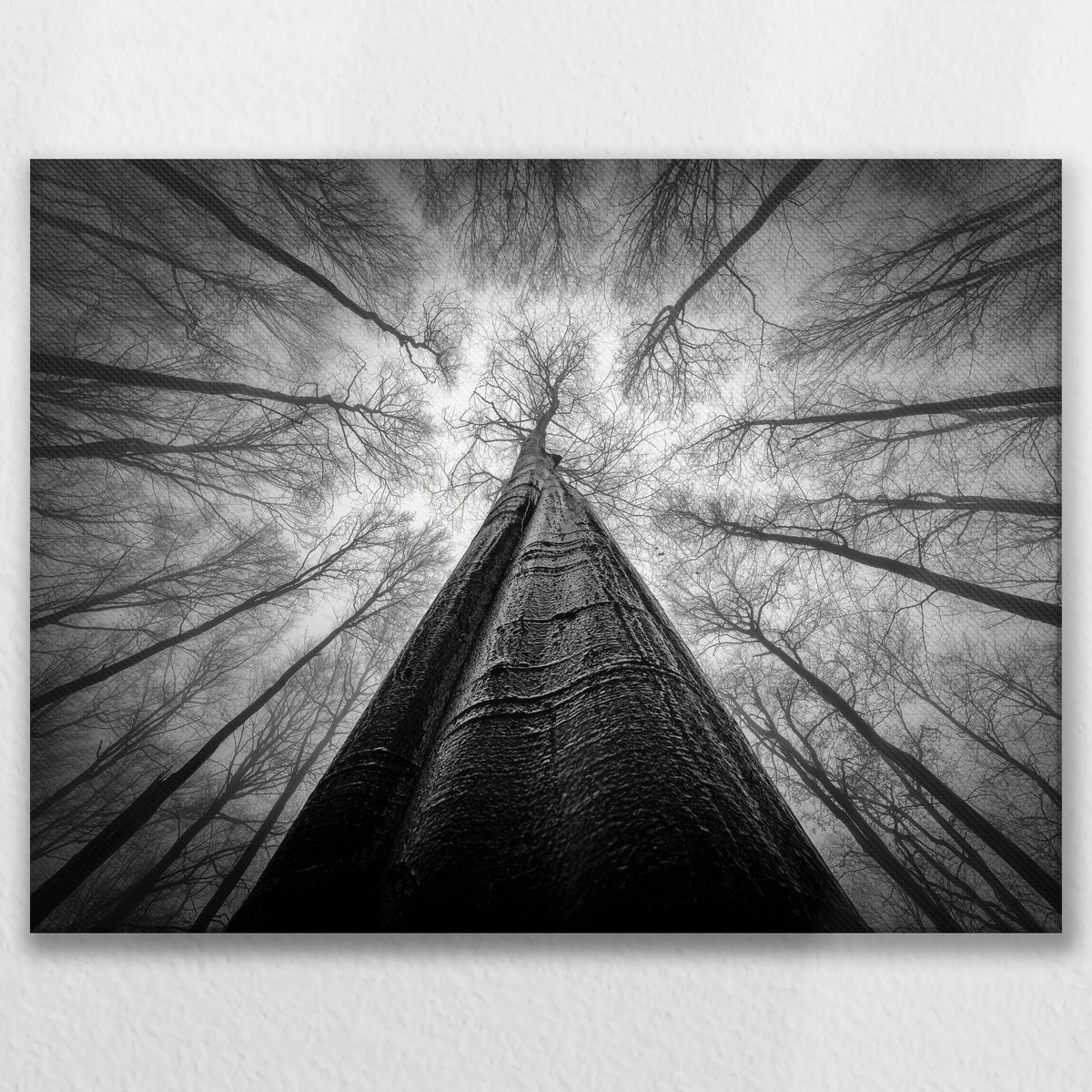 LW-080W060