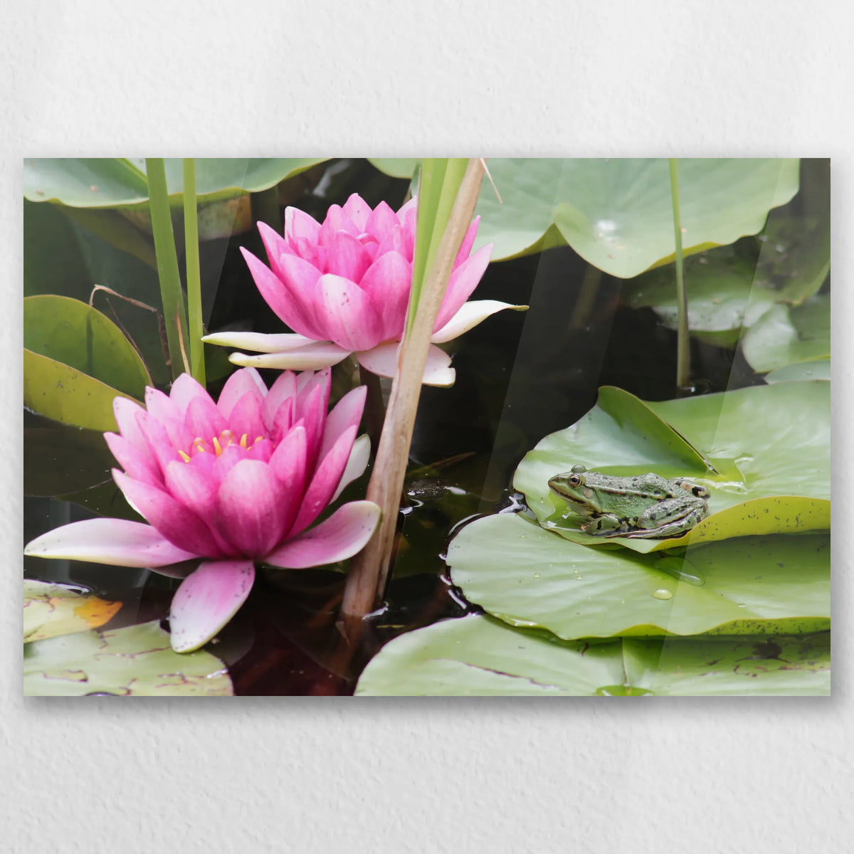 AC-030W020
