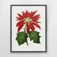 PK-060W080