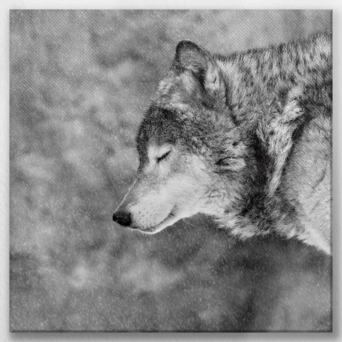 LW-040W040