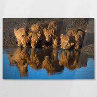 AC-090W060