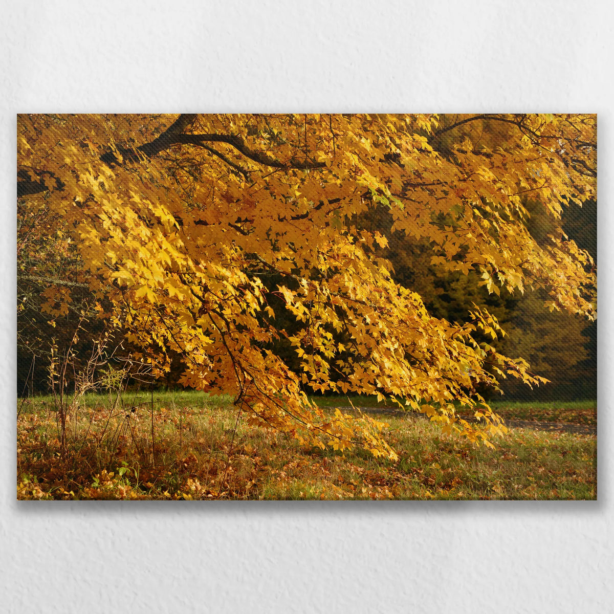 LW-075W050