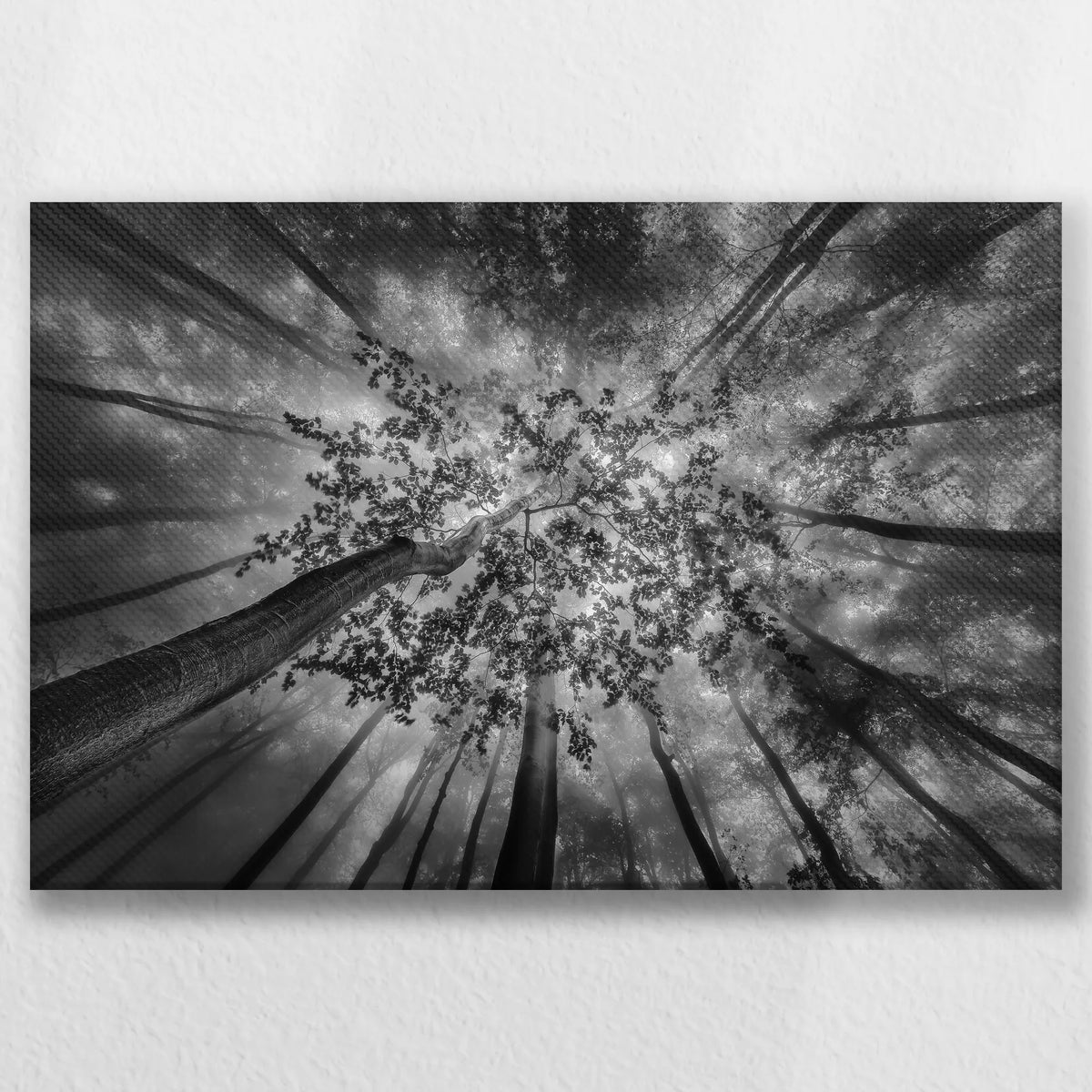 LW-045W030