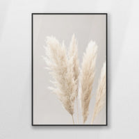 PB-062W093