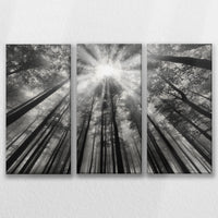 LW-090R060