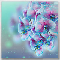 LW-050W050
