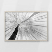 PN-093W062