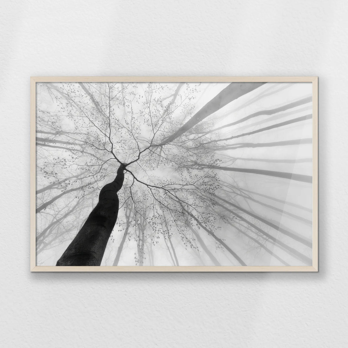 PN-093W062
