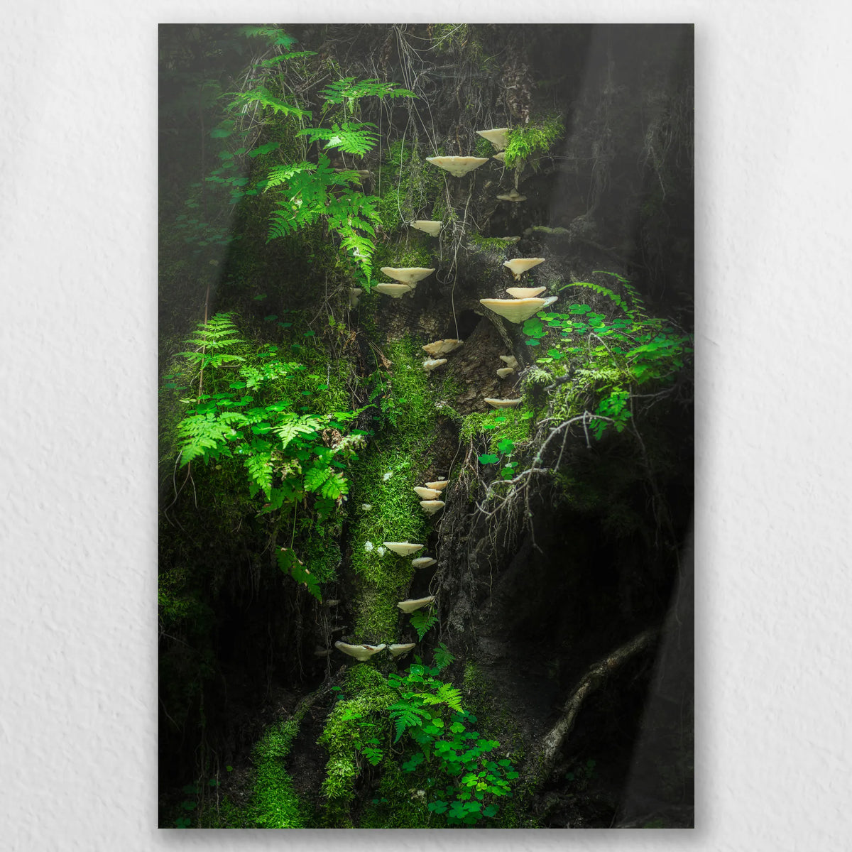 AL-020W030