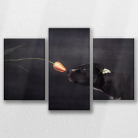 LW-060T040