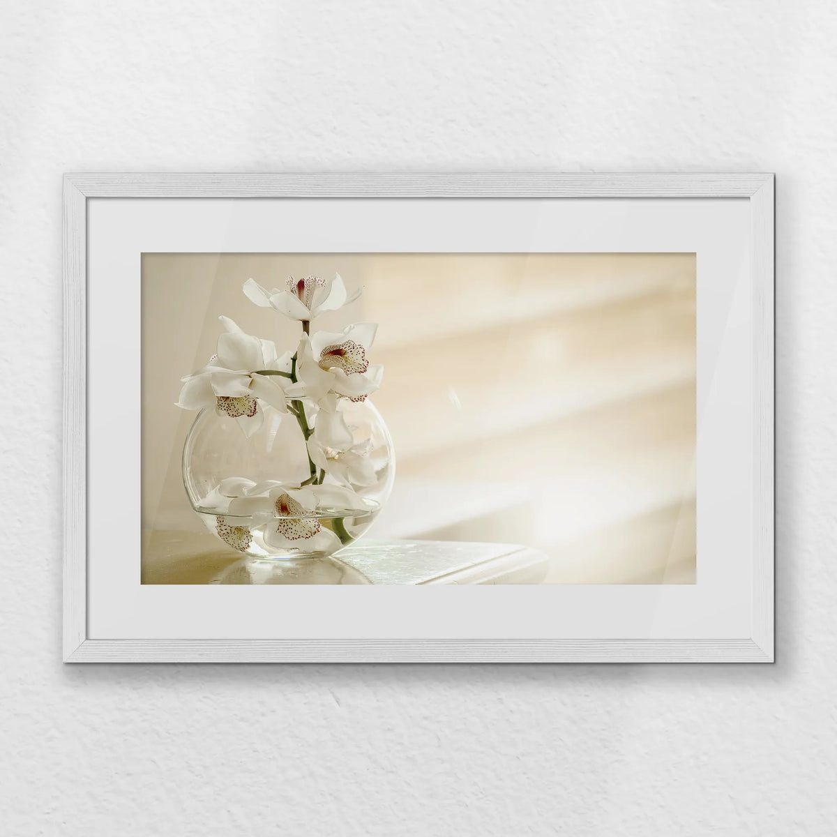 PWP060W040