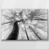 LW-045W030