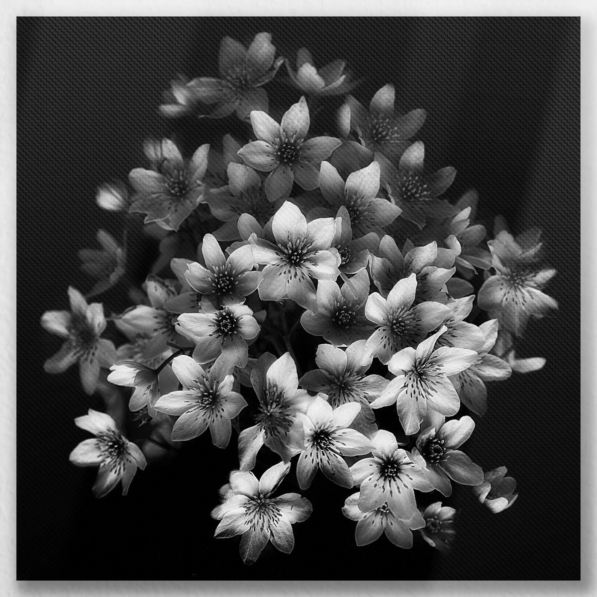 LW-040W040