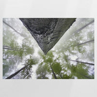 PO-120W080