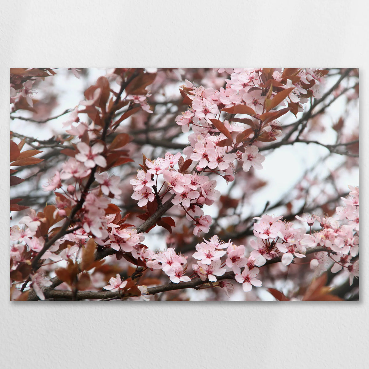 AC-090W060