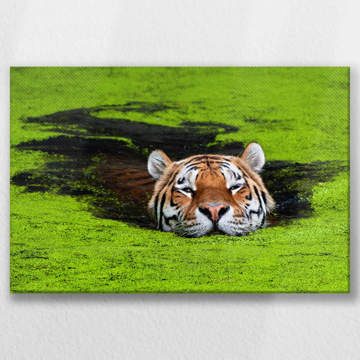 LW-045W030