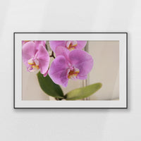PBP120W080