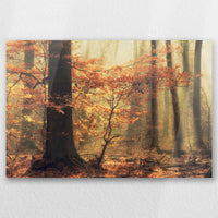 AC-060W040