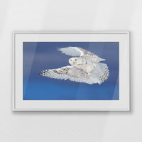 PWP093W062