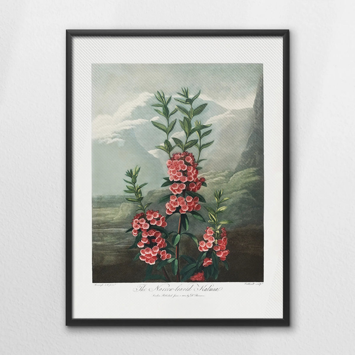 LWB060W080