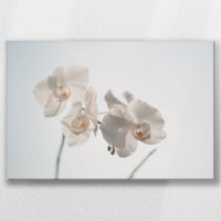 LW-030W020