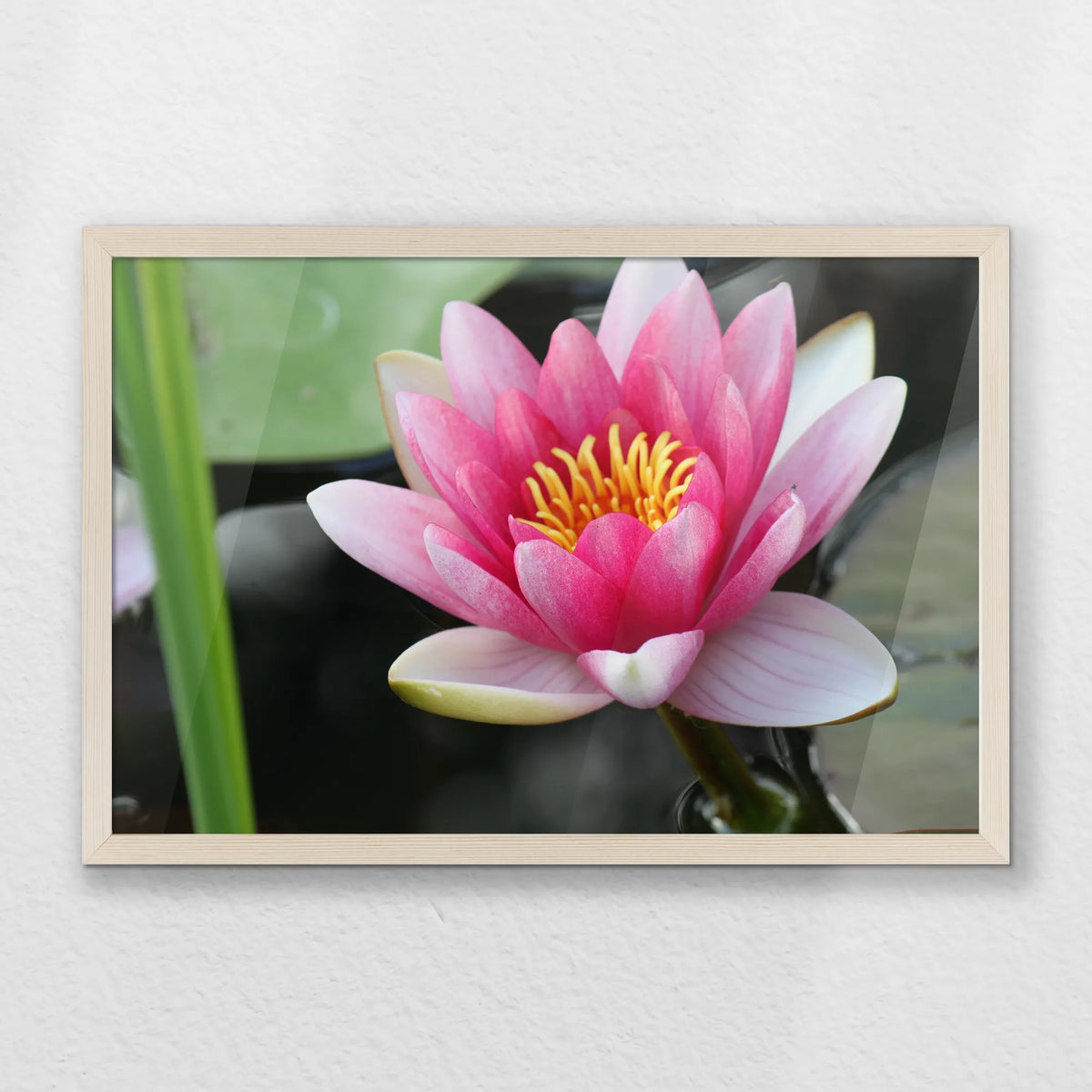 PN-060W040