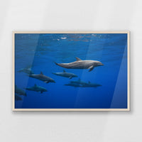PN-093W062
