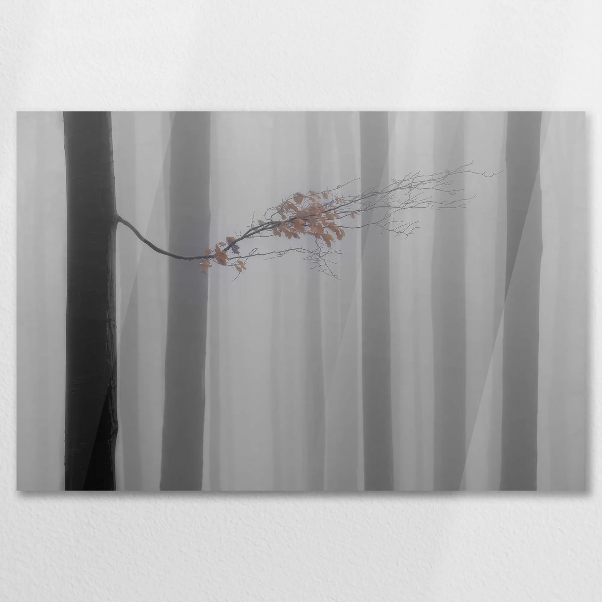 AC-075W050