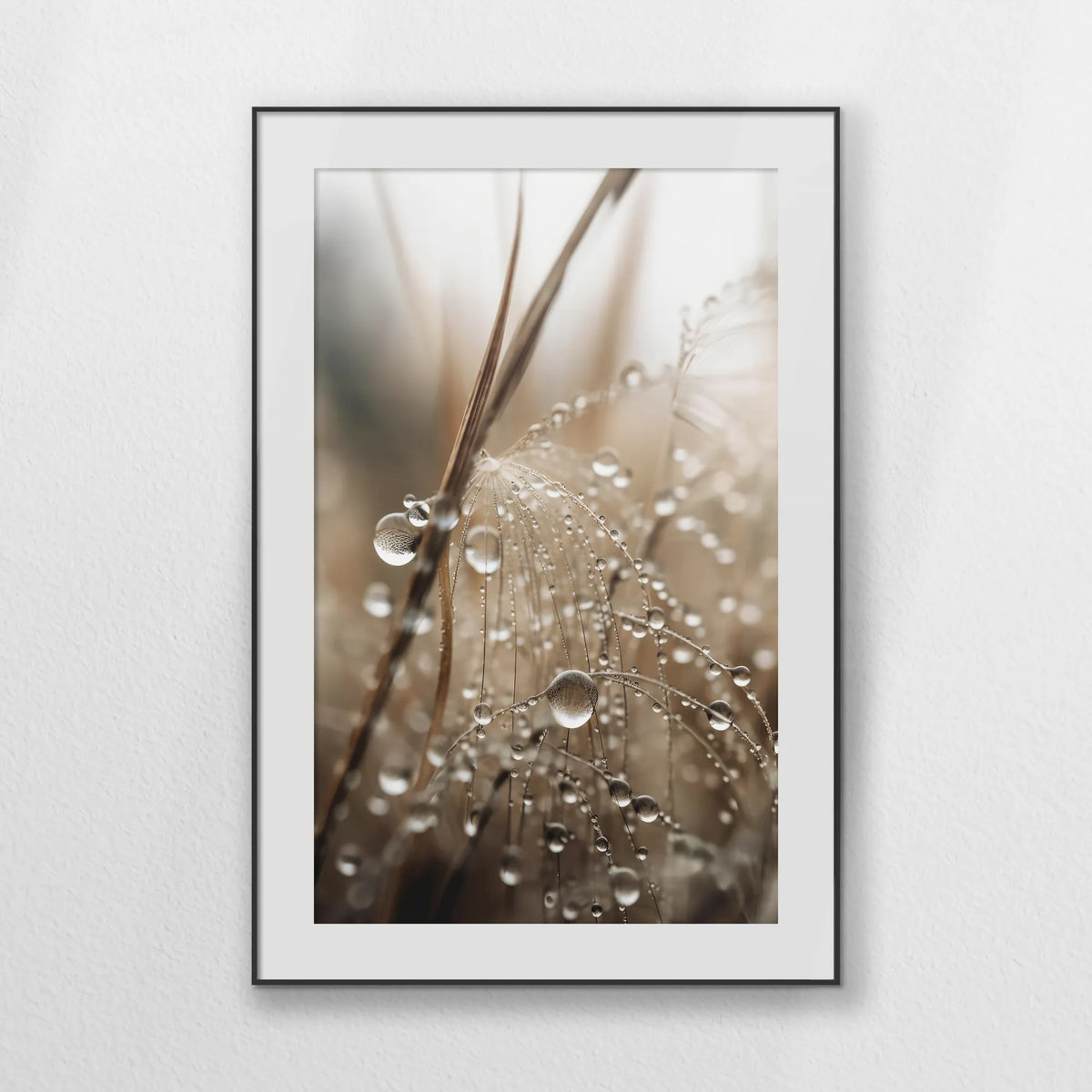 PBP080W120