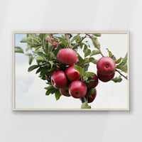 PN-100W070
