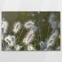 LW-120W080