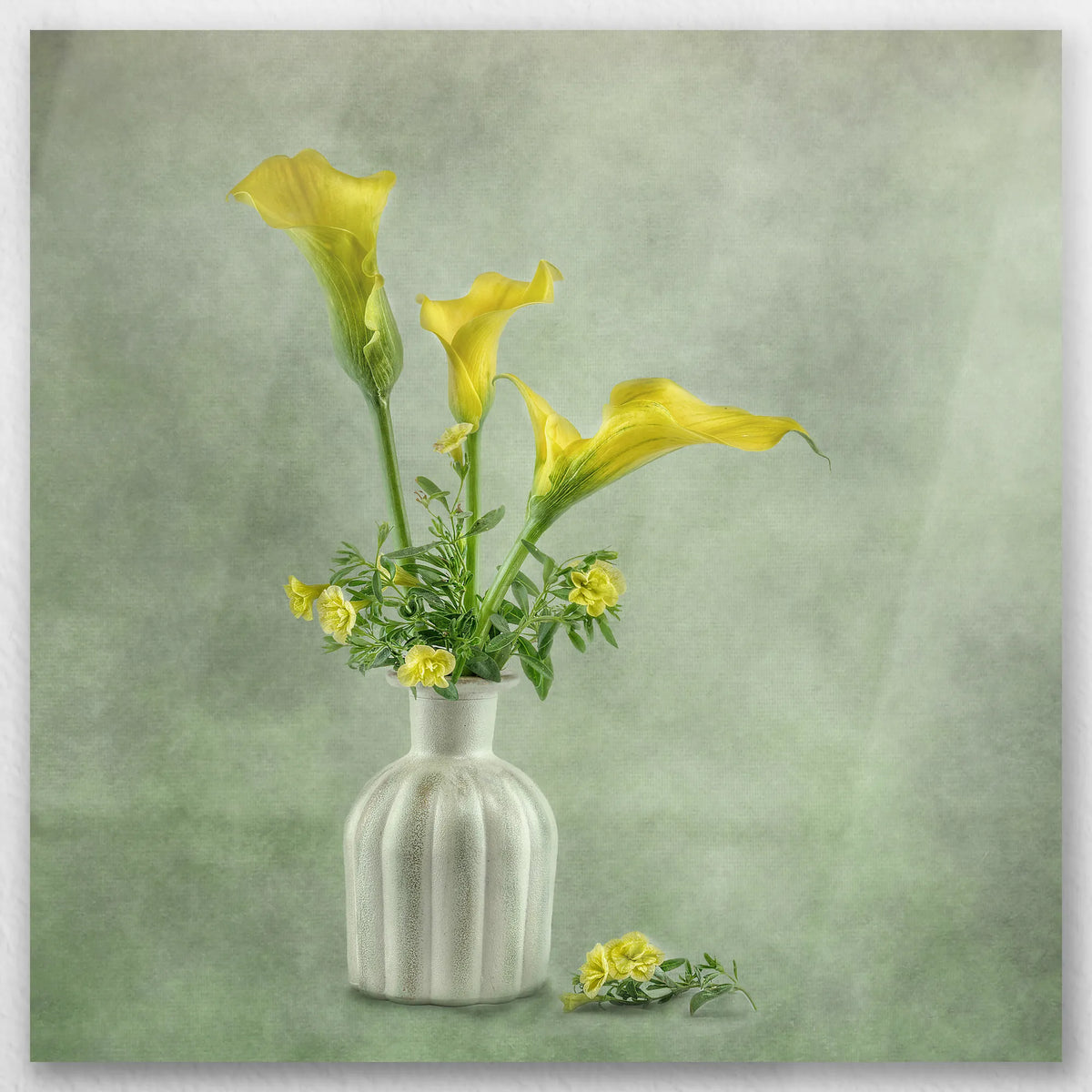 AL-060W060