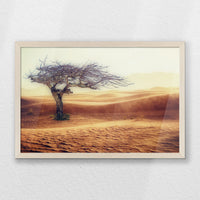 PN-060W040