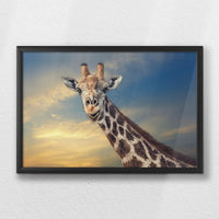 LWB060W040