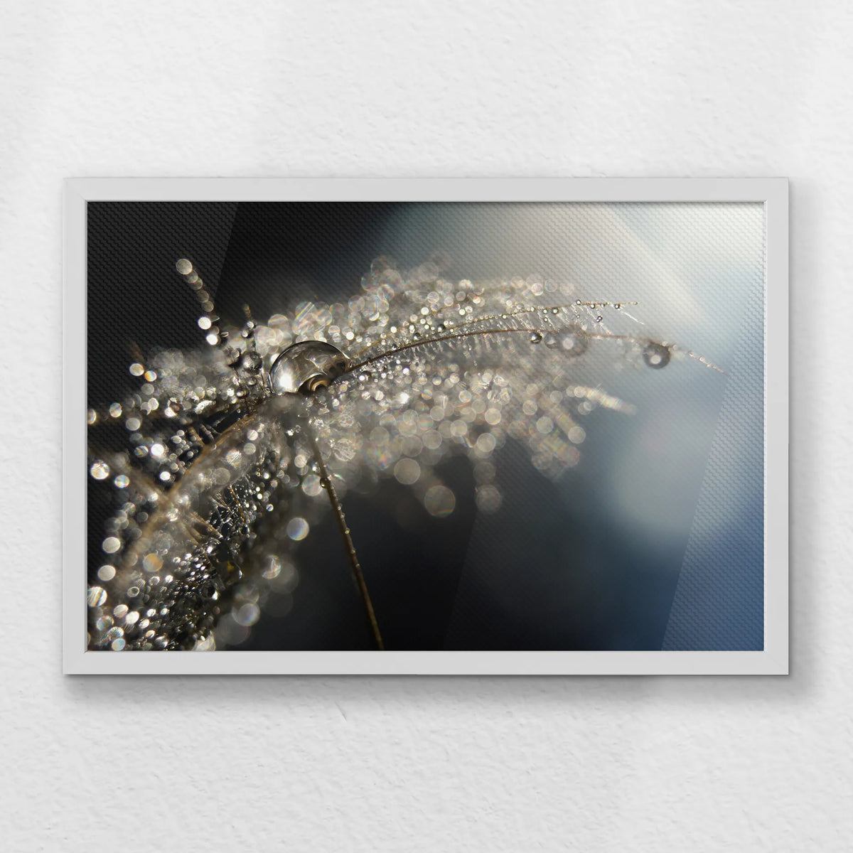 LWW060W040