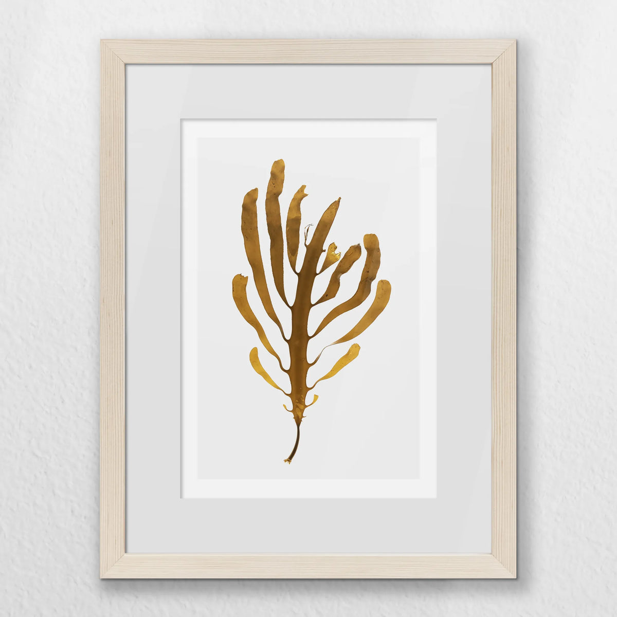 PNP030W040