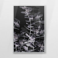 PS-062W093