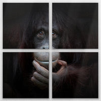 LW-120V120
